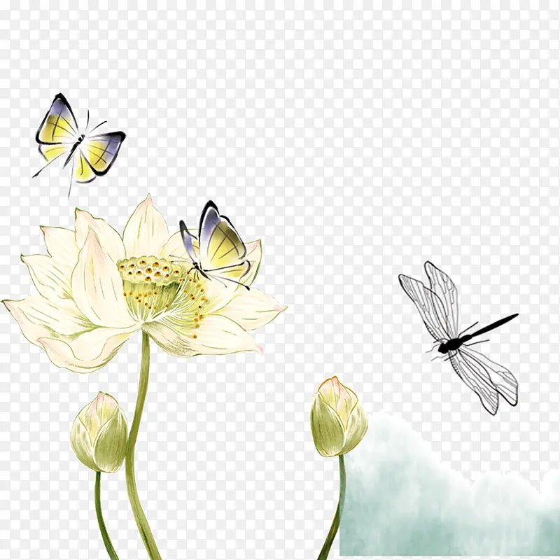 ˮ������-������