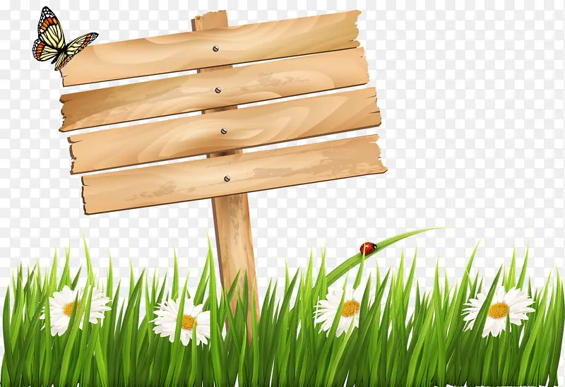 �ݴԵı���-������