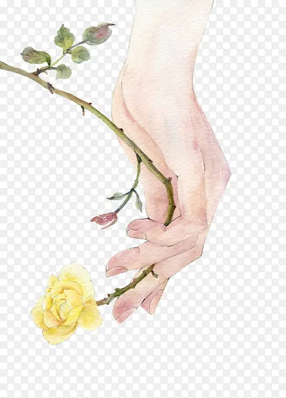 �ֻ��ֻ�-������