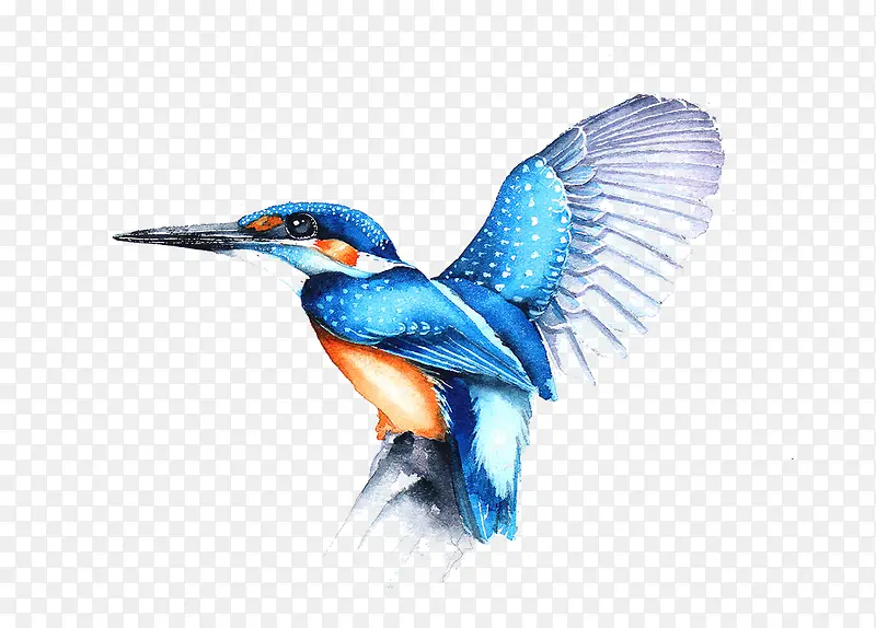 ˮ�ʲ廭��-������