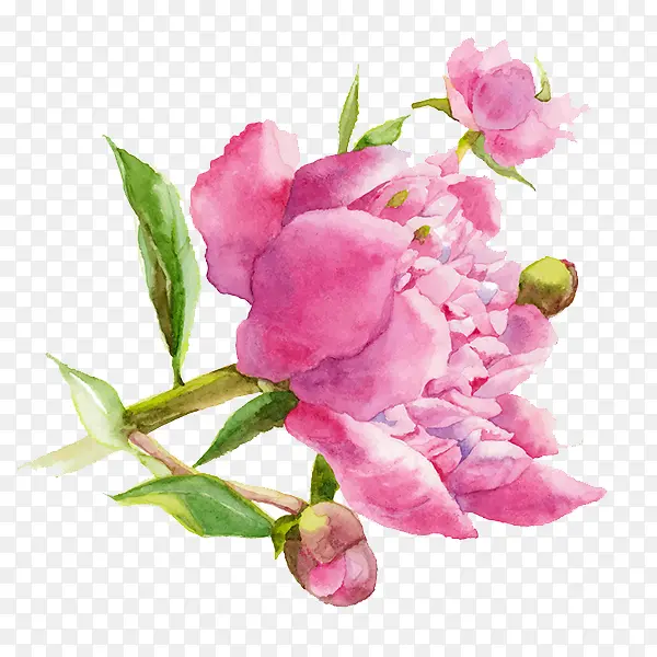 ˮ�ʲ廭-������