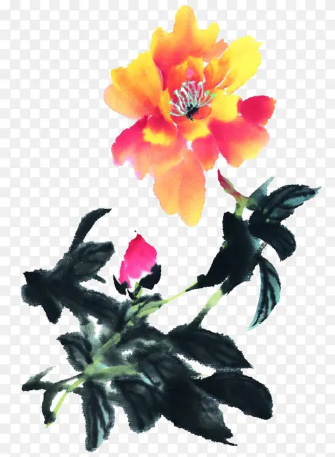 ˮ�ʻ�-������