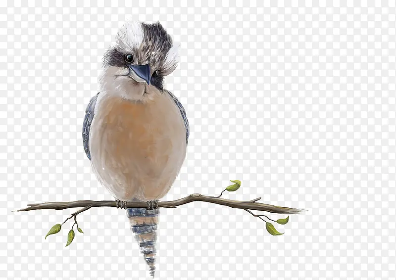 ˮ�ʲ廭��-������