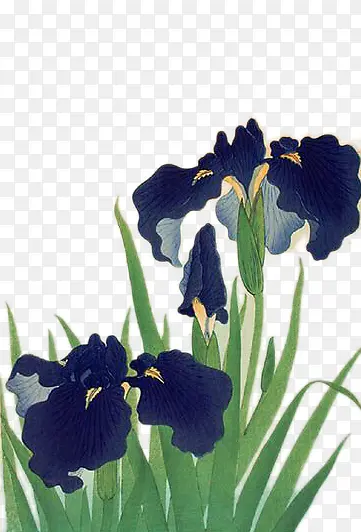 ˮ�ʲ廭-����-������