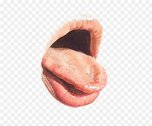 ˮ����ͷ�廭-������