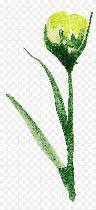 ˮ�ʻ�-������