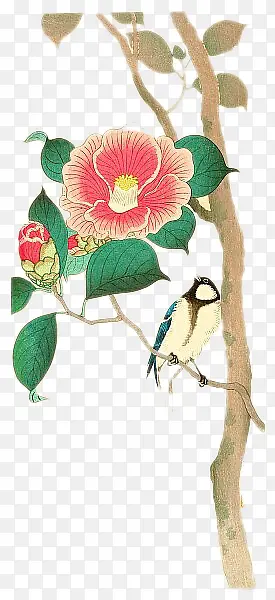 ˮ�ʲ廭-����-������