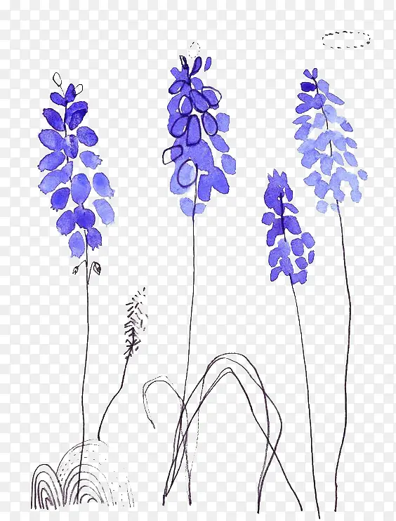 ޹�²�-������