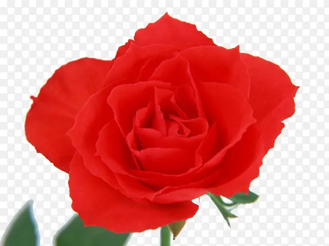 õ�����-������