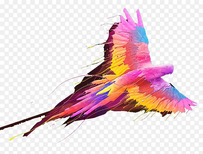 ��ɫ���-������