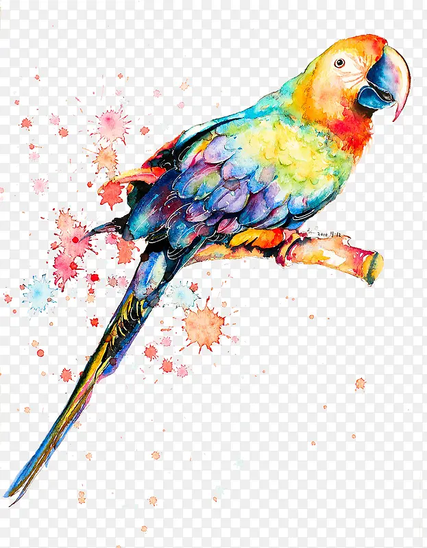 ˮ�ʻ���֦������-������