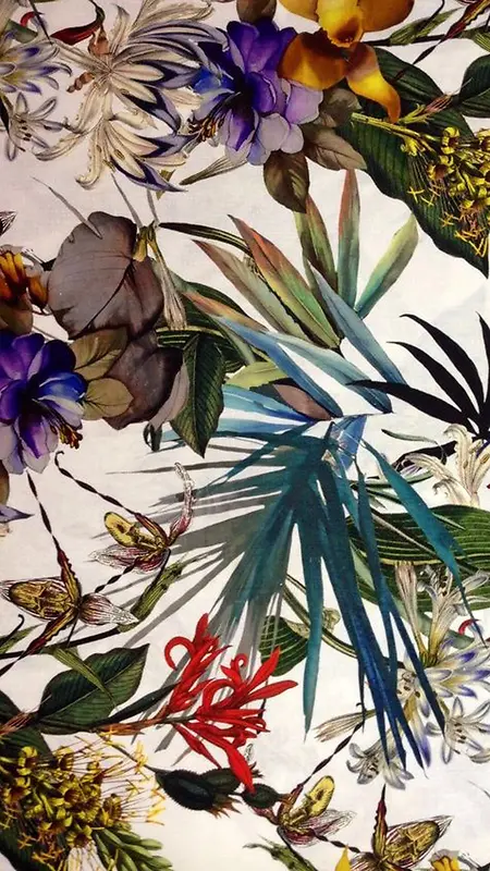 �ֻ�廭Ũīɫ��-������