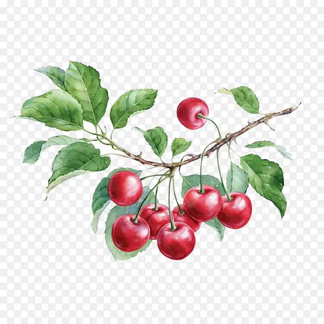 ˮ��ˮ��-������