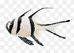 ��ͨ�ֻ濨ͨ��廭-������