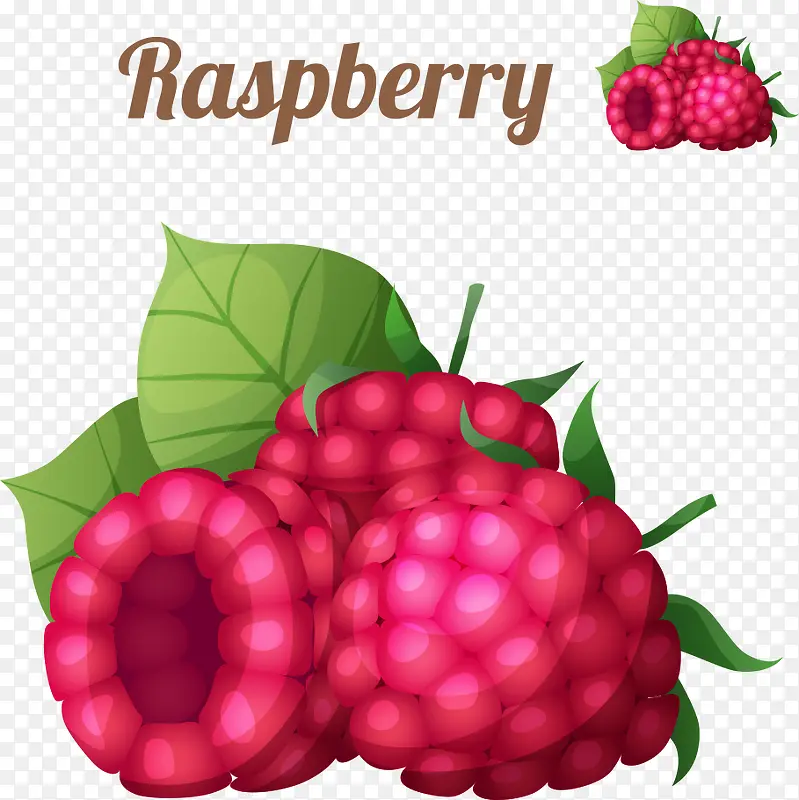 ʸ����ͨ��ݮ-������