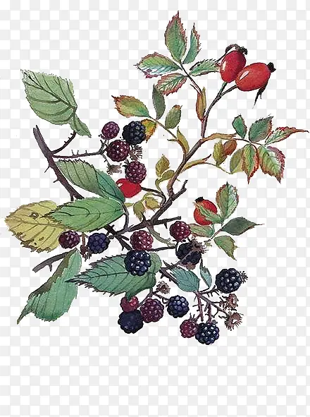 ��ͨˮ��ɣ��-������