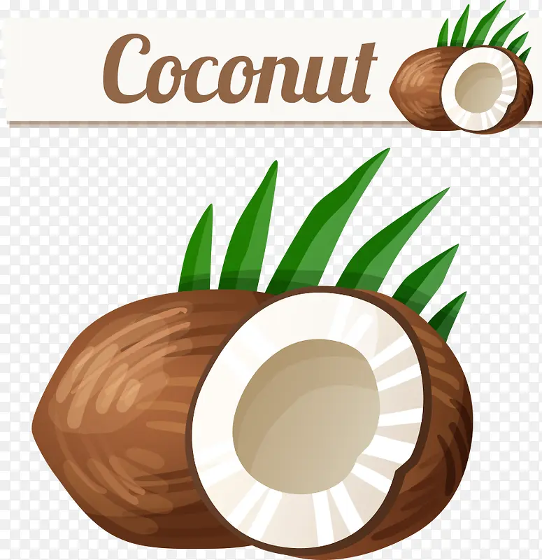 ʸ����ͨҬ��-������