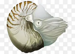 ��ͨ�ֻ溣��-������