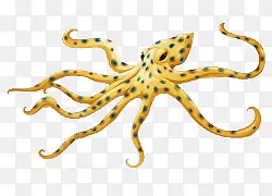 ��ͨ�ֻ濨ͨ����廭-������