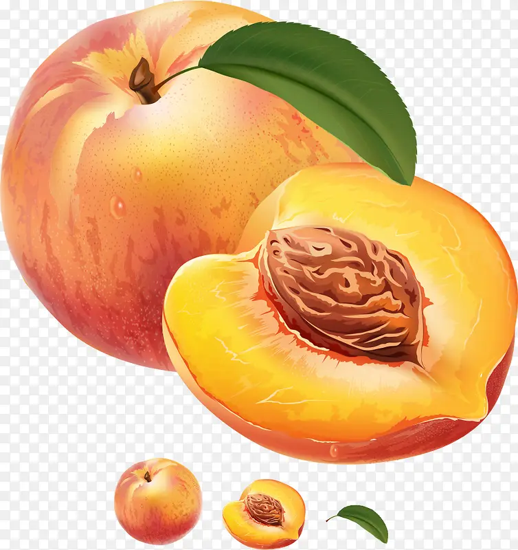 ʸ����ͨ����-������