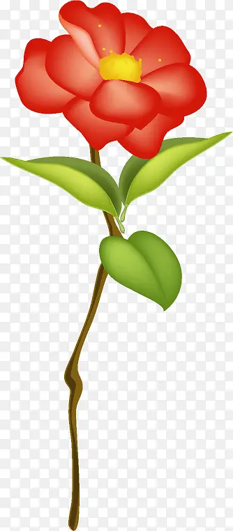 ��ɫ���ܲ廭����-������