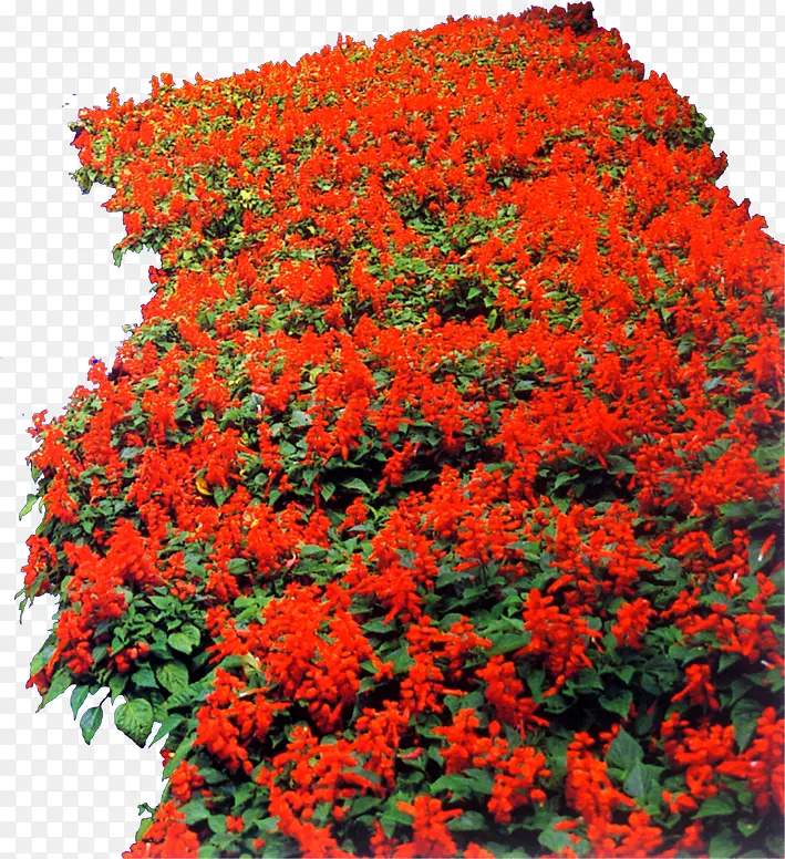 ������Ӱ��ɫ���ܻ����ݲ�-������