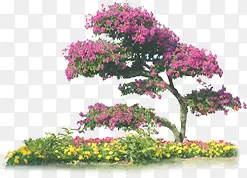 ���������Ӱ��ɫ��ɫ����-������