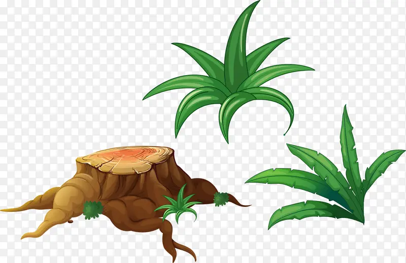 �̲���ľľ׮��ͨ-������