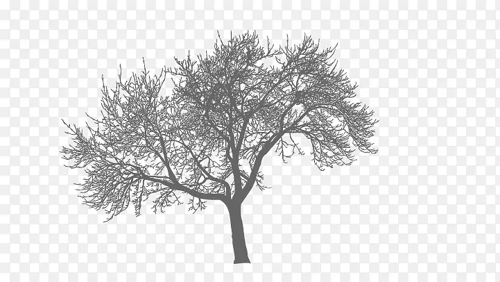 ����Ӱ-������