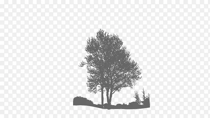 ����Ӱ-������