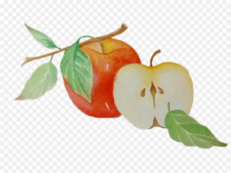 �ֻ�ƻ��-������