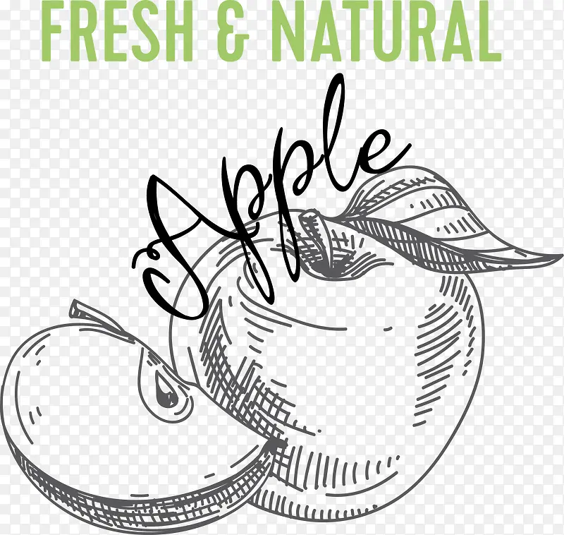 ƻ���ֻ�PNGʸ���ز�-������