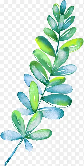 �̲�-������