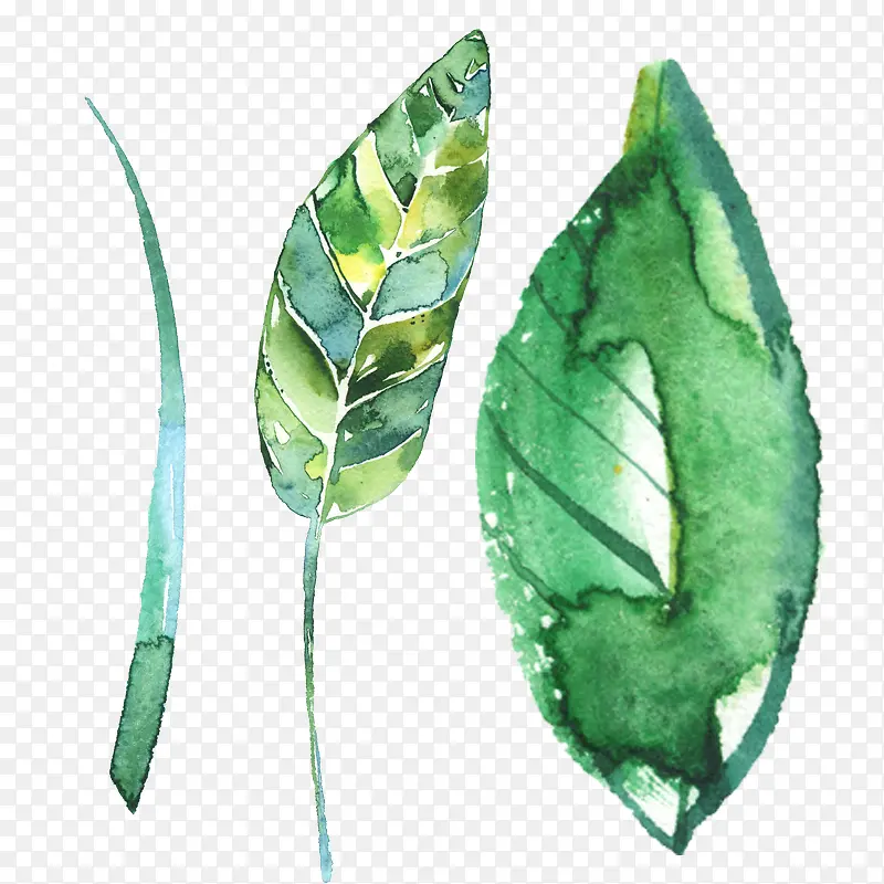 ˮ�ʻ���Ҷ��-������