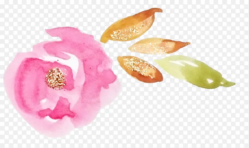 ˮ�ʻ�-������