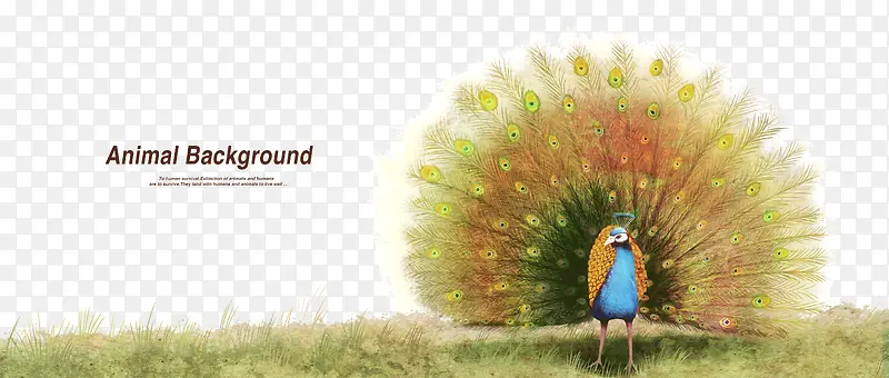 �ֻ��ȸ����-������