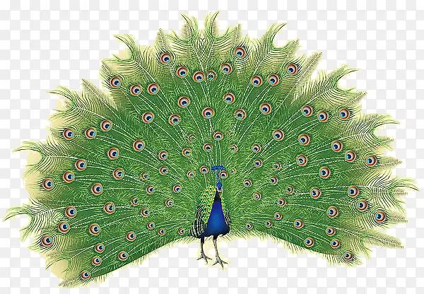 ��ȸ�����ز�-������