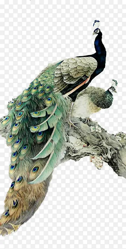 �ֻ��ȸ-������