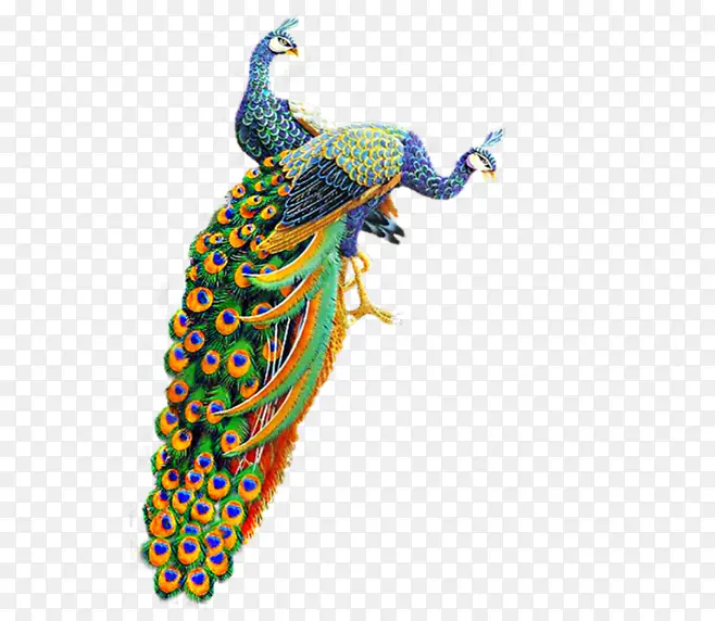 ��ȸ-������