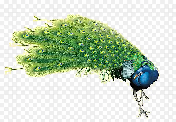 ��ٿ�ȸ�ز�-������