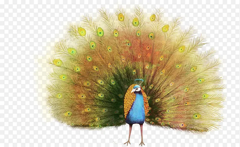 �ֻ��ɫ��ȸ����-������