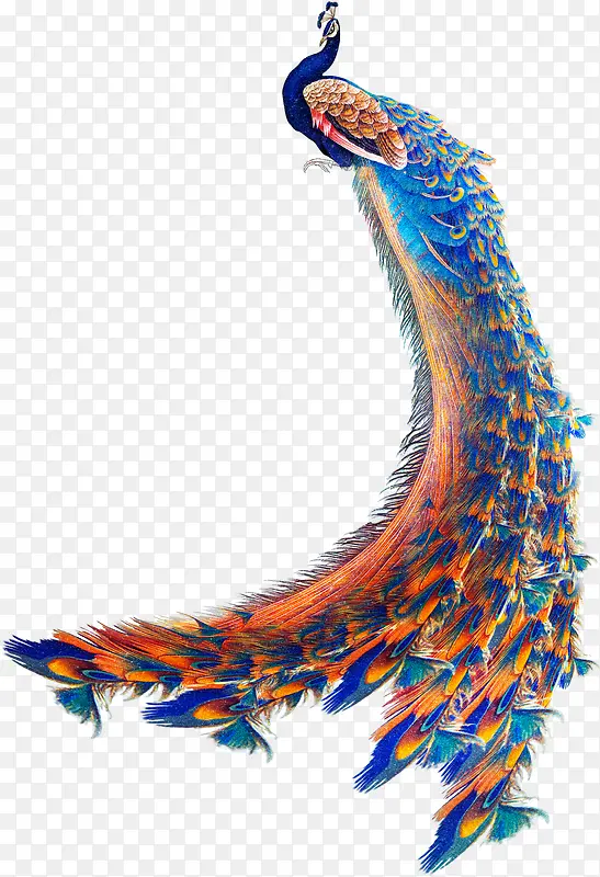 ��ɫ�ɰ���ȸ�ֻ�-������