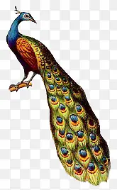 �ֻ��ȸ-������