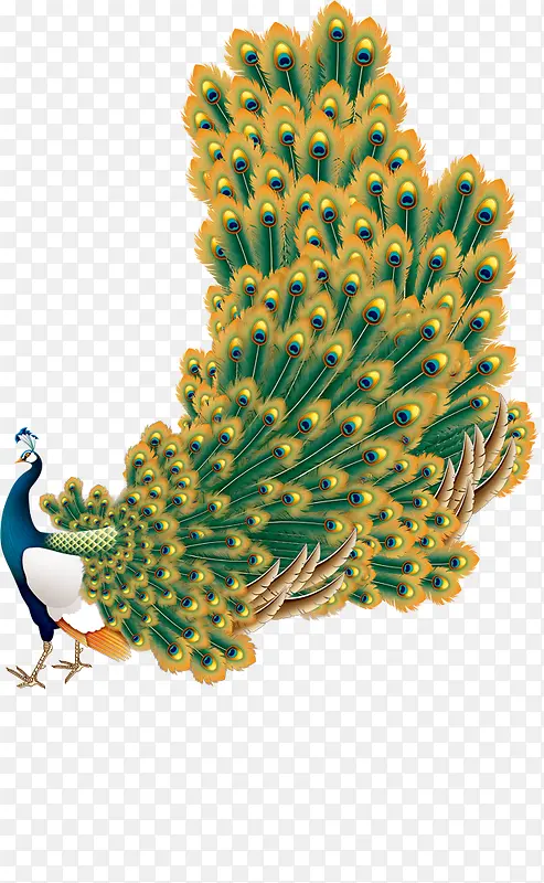 �ֻ��ȸ-������