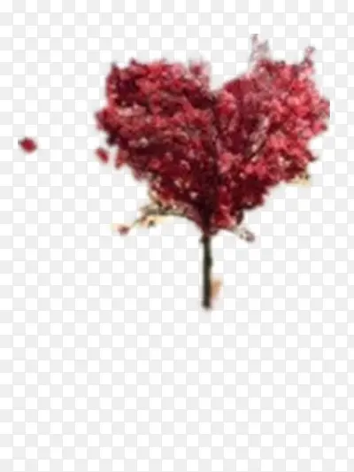 ����-������