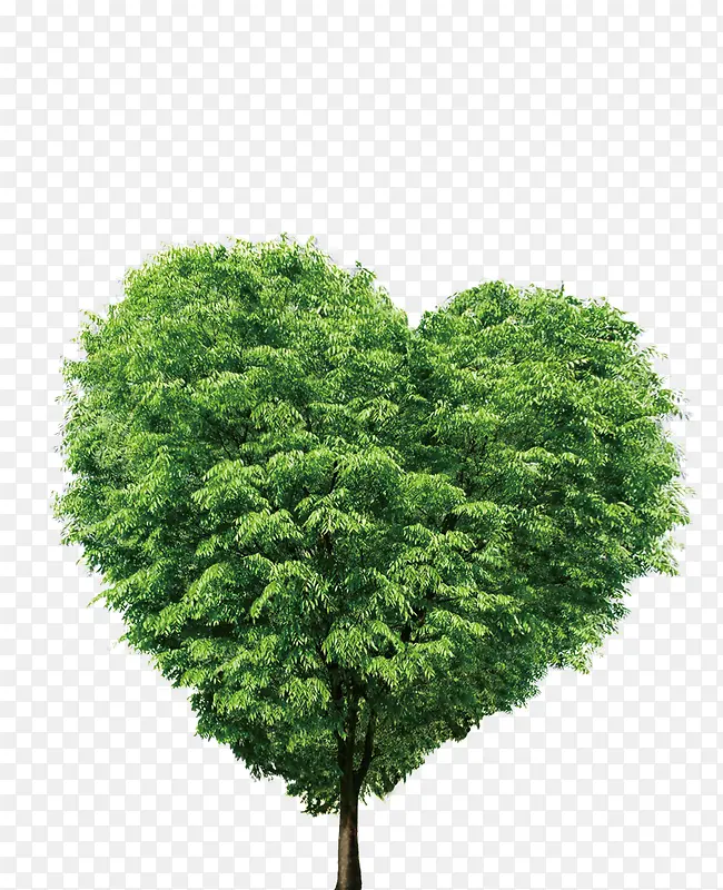 ��-������