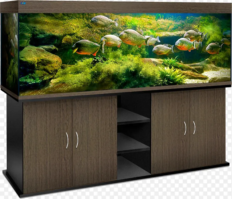 ʱ�мҾ�����ز�-������