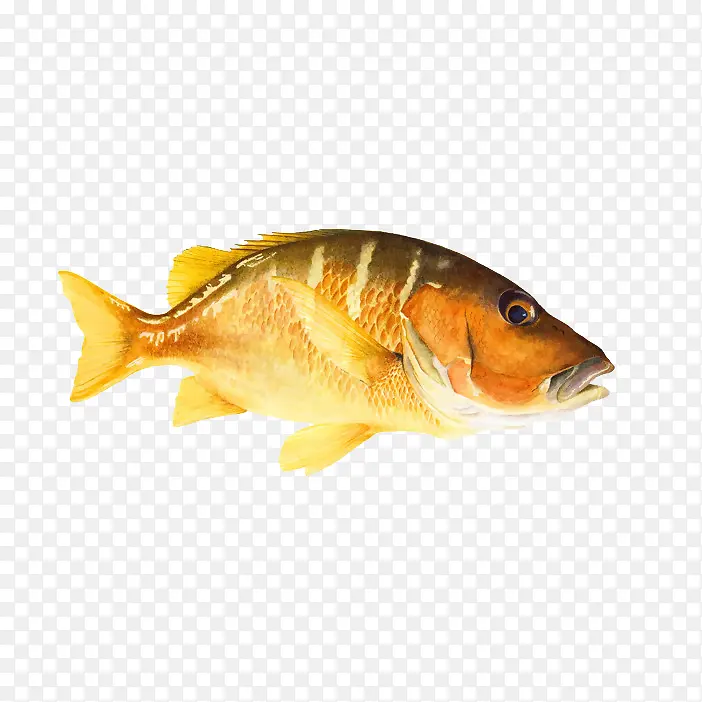 �ֻ���-������