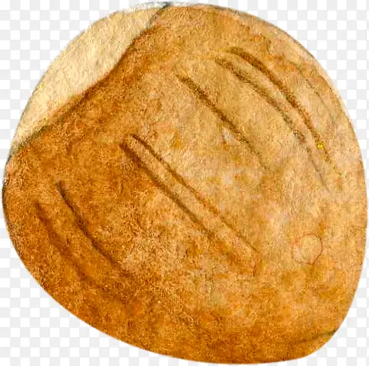 �ֻ��ɫԲ��ʵ-������