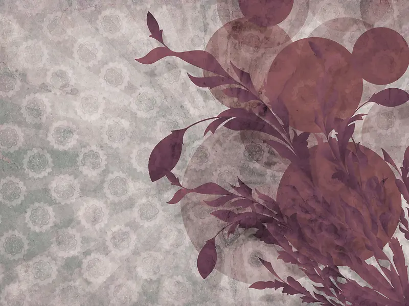 ���Ż��Ʊ���-������